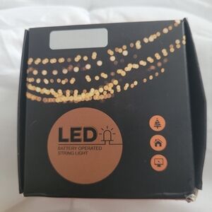 LED Battery Operated String Light - Black